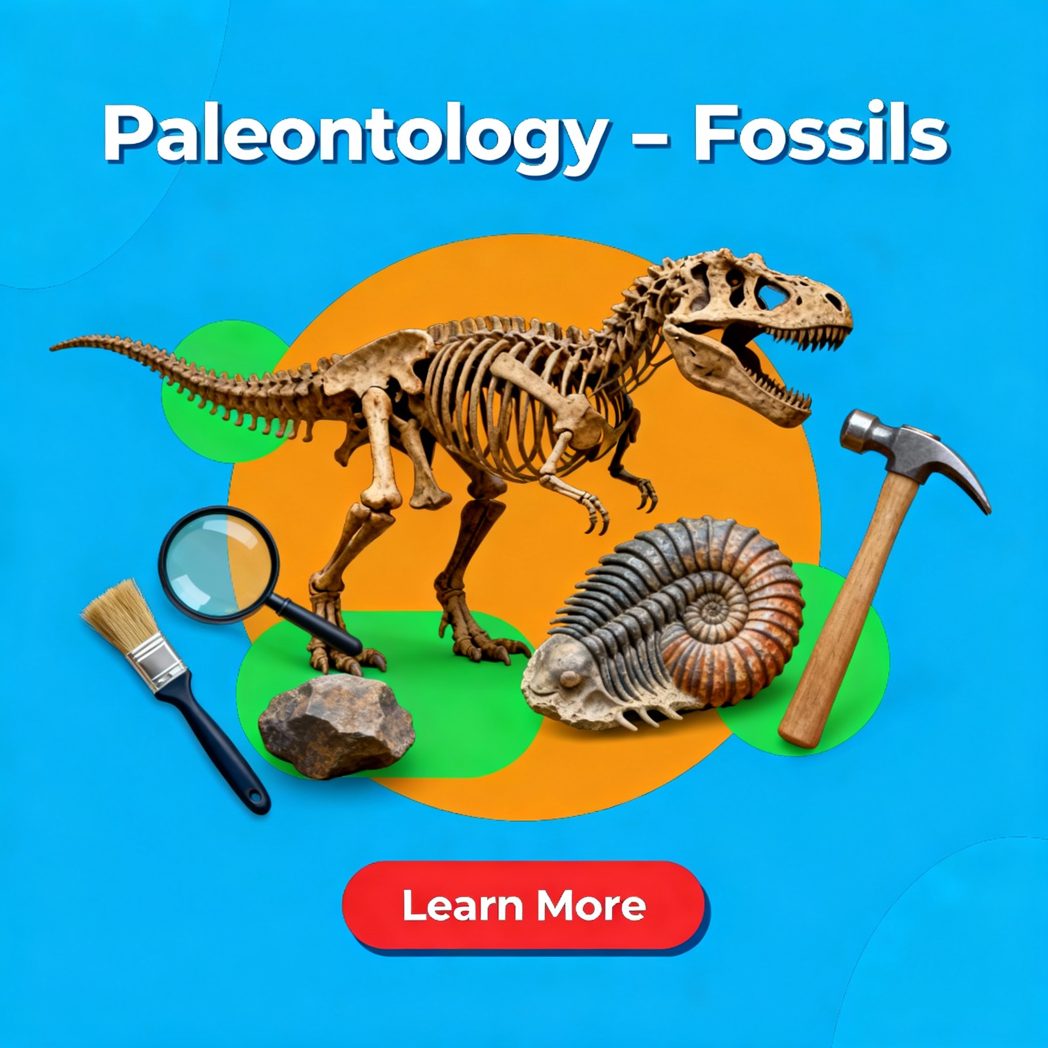 Paleontology – Fossils