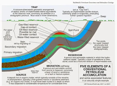 Processes of a petroleum system